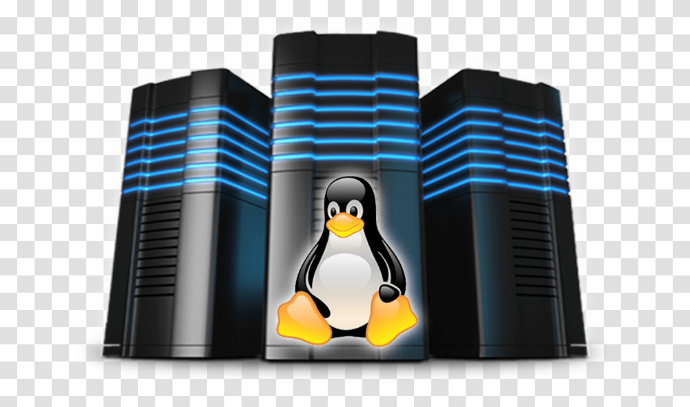 Windows Hosting, Penguin, Bird, Animal, Computer Transparent Png