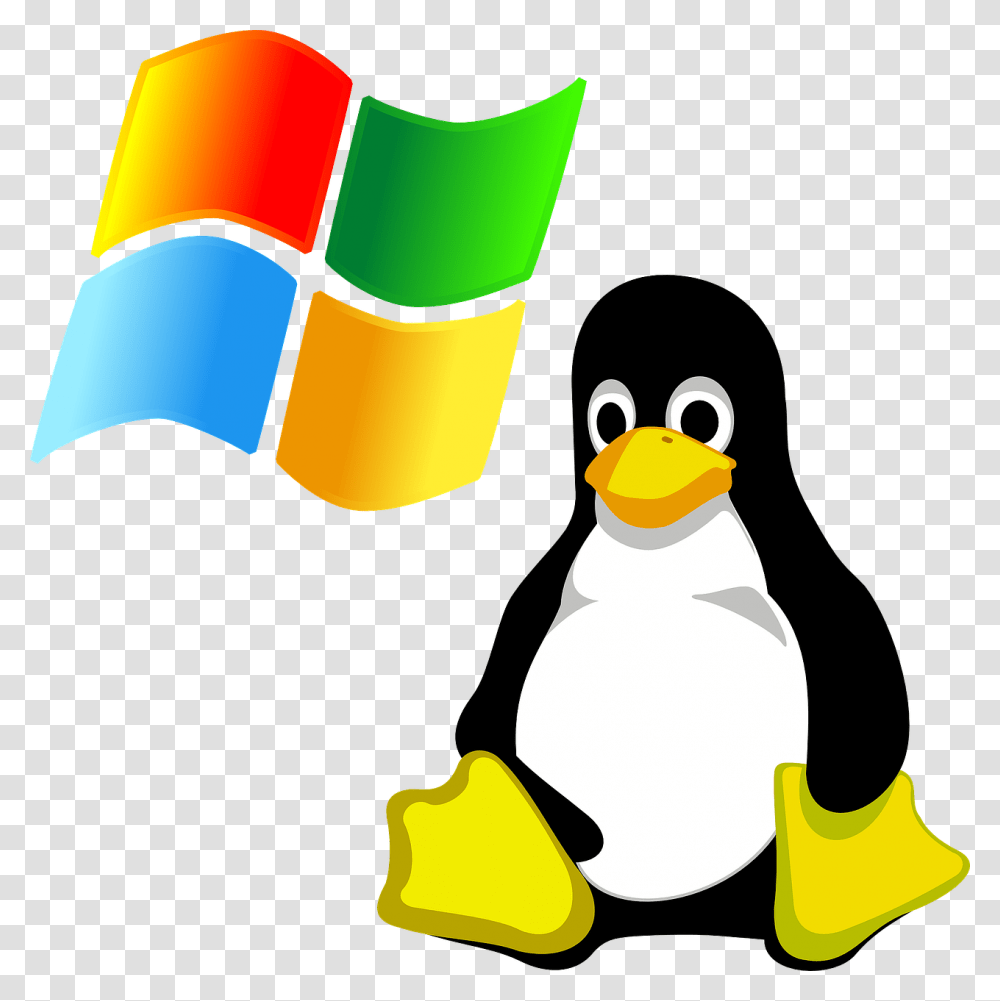 Windows Linux Internetcom Linux Penguin, Bird, Animal, Graphics, Art Transparent Png