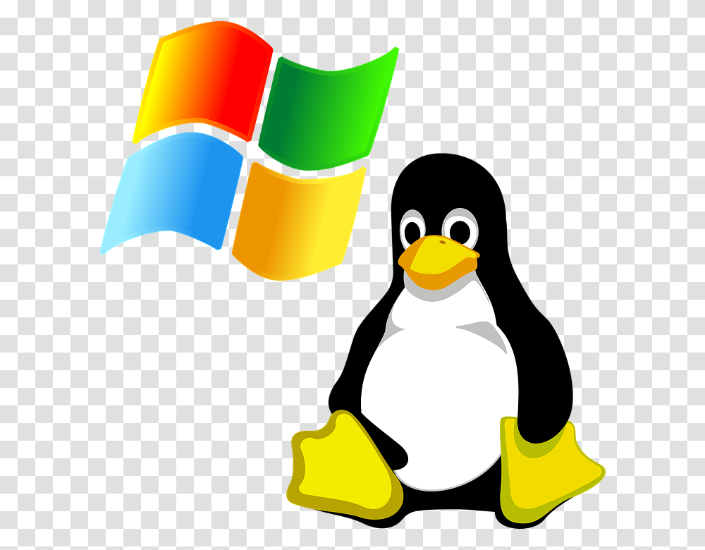 Windows Vs Linux Windows And Linux Icon, Penguin, Bird, Animal Transparent Png