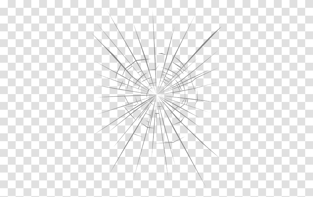Windscreen Replacement Line Art, Spider Web, Utility Pole, Bow Transparent Png