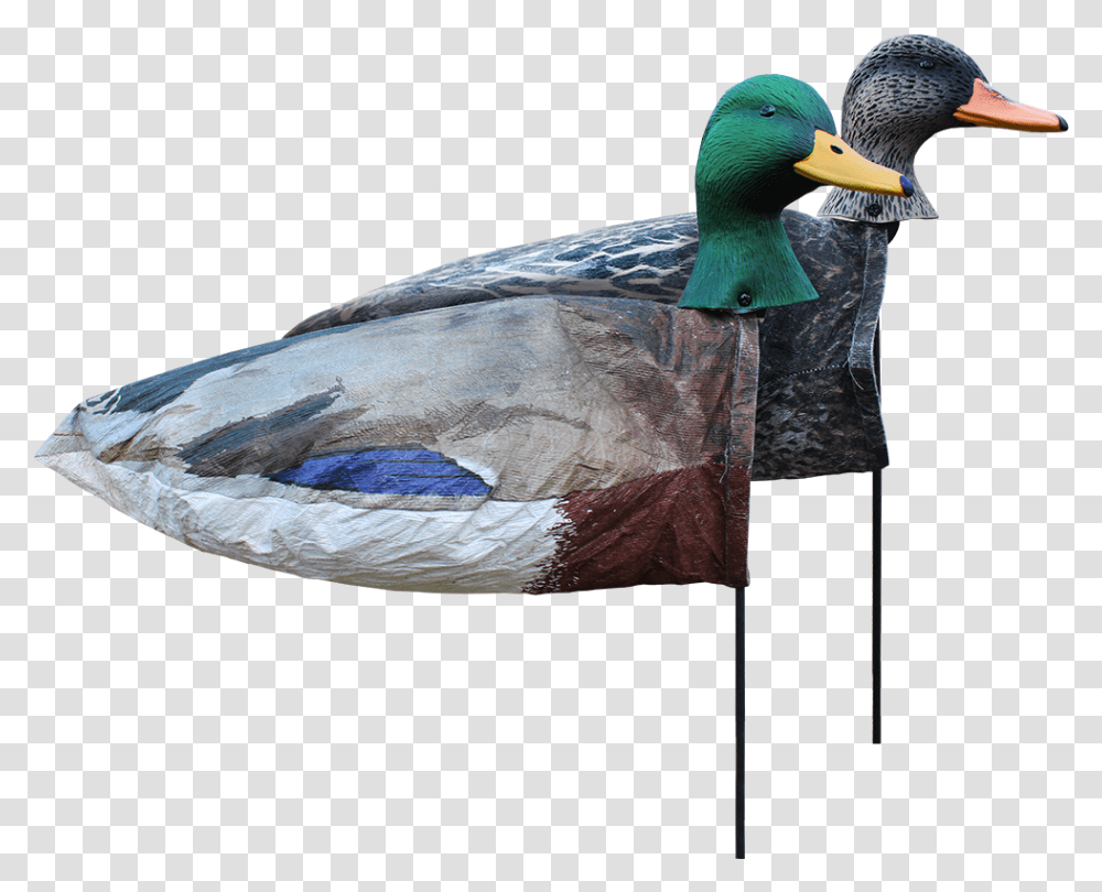 Windsock Duck Decoys, Bird, Animal, Waterfowl, Flag Transparent Png