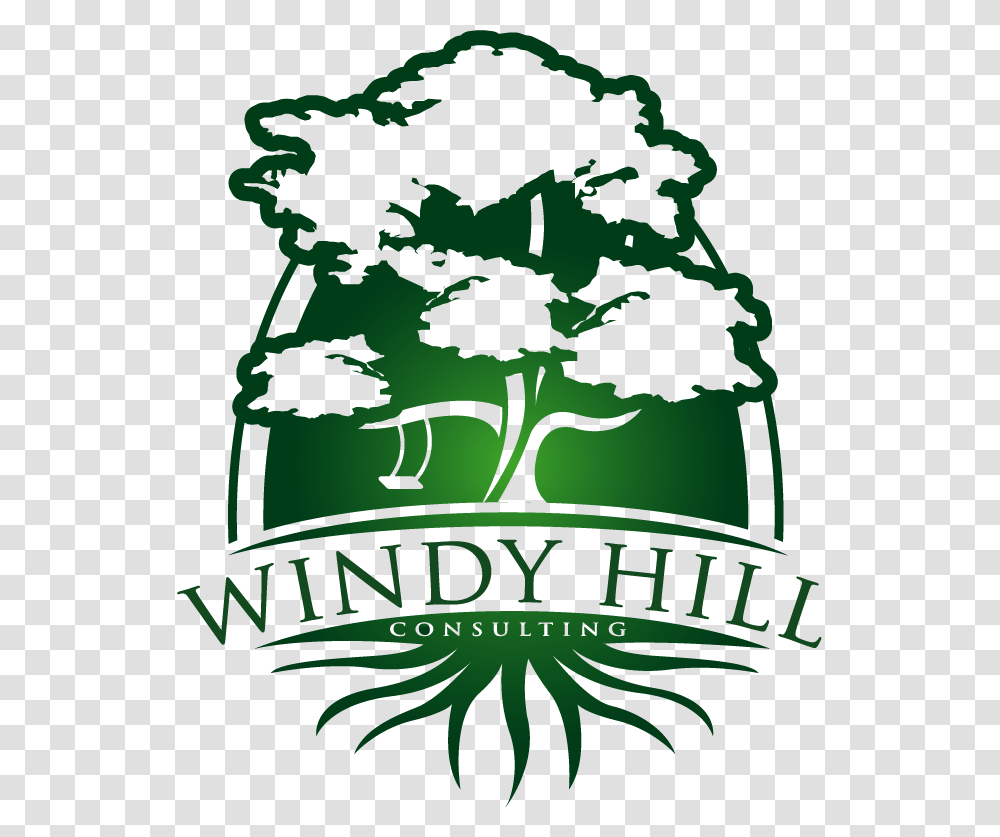 Windy Hill Consulting Illustration, Plant, Green, Tree, Root Transparent Png