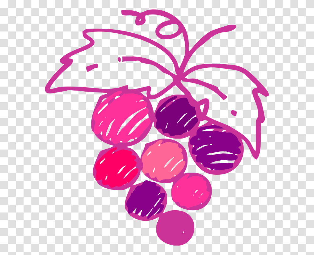 Wine Common Grape Vine Drawing Varietal Grape Vines Drawing, Plant, Grapes, Fruit, Food Transparent Png