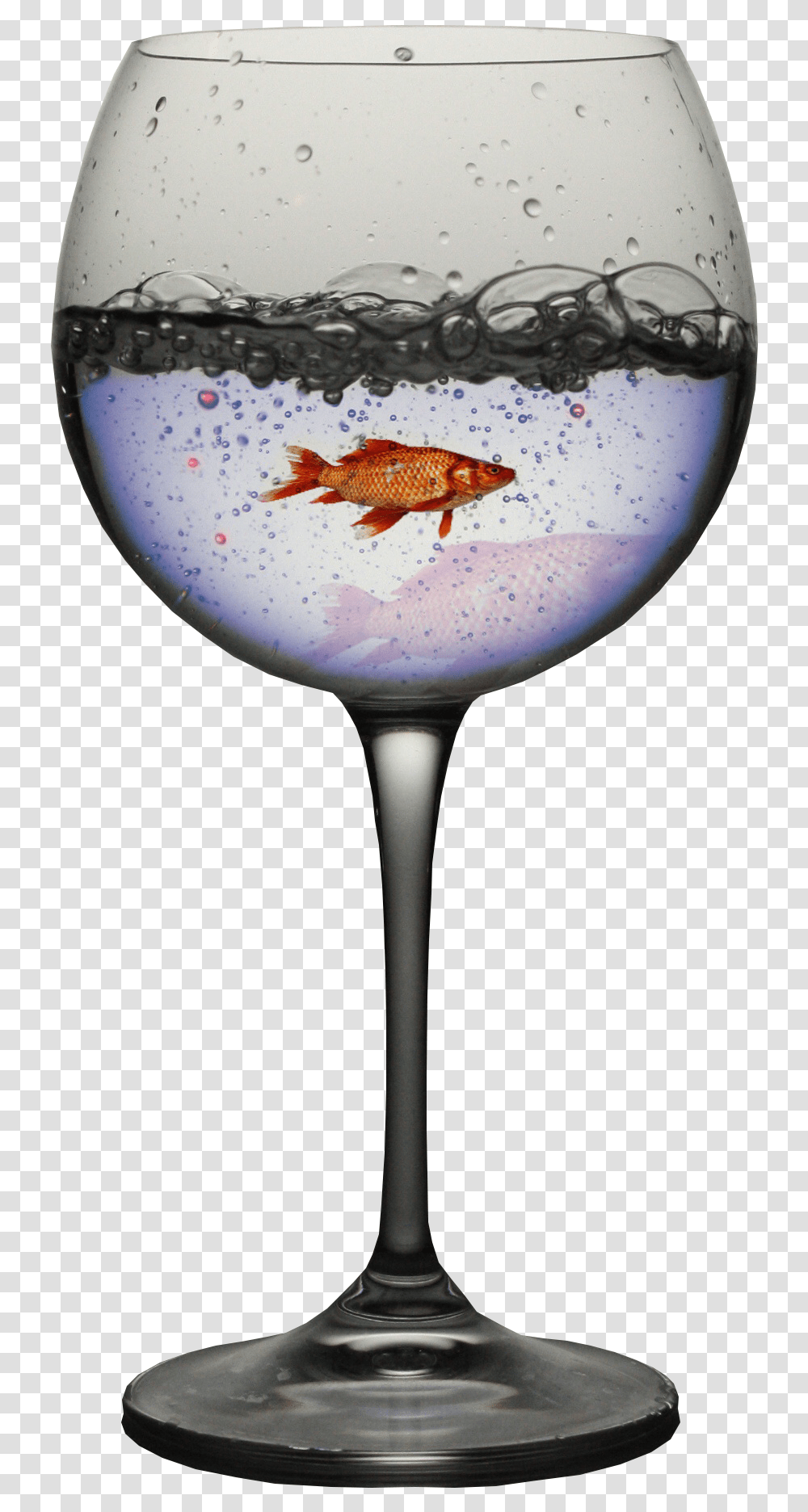 Wine Glass, Goldfish, Animal, Goblet, Lamp Transparent Png
