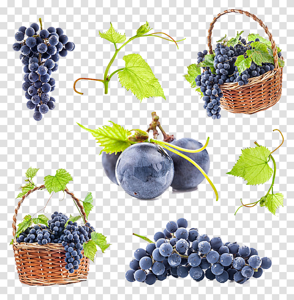 Wine Grape Vine, Plant, Fruit, Food, Grapes Transparent Png