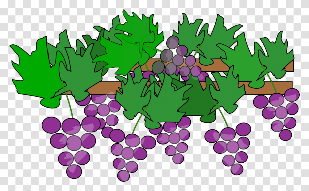 Wine Grapes Clip Art Loadtve, Leaf, Plant, Green Transparent Png