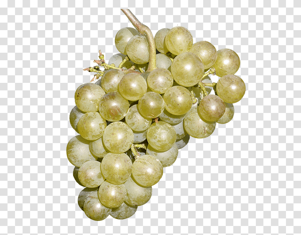Wine Grapes Free 960, Fruit, Plant, Food, Fungus Transparent Png