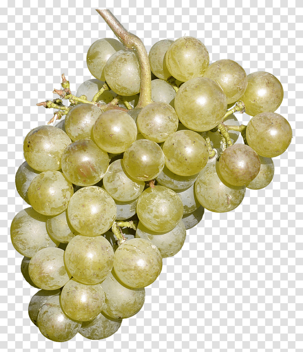 Wine Grapes Free Fruit Delicious Free Photo Grape, Plant, Food, Fungus Transparent Png