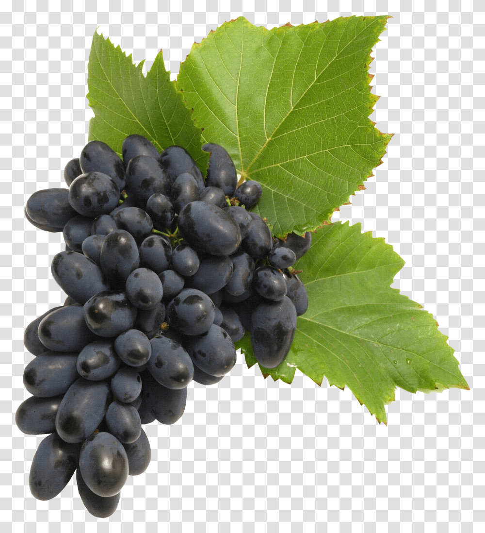 Wine Grapes Transparent Png