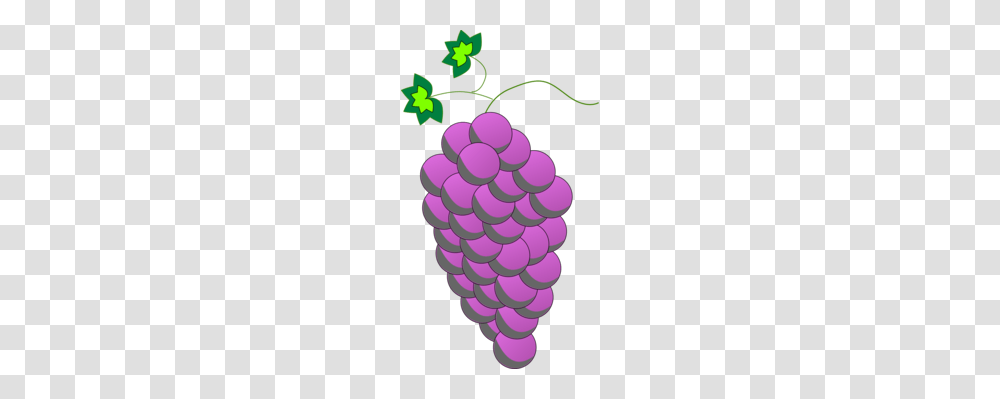 Wine Logo Brand Grape City, Plant, Fruit, Food, Grapes Transparent Png