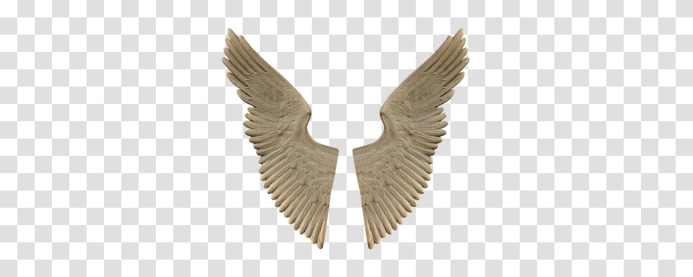 Wing Religion, Bird, Animal, Waterfowl Transparent Png