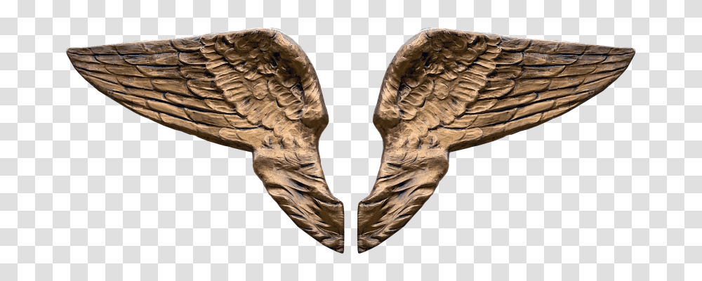 Wing Religion, Bronze, Bird, Animal Transparent Png