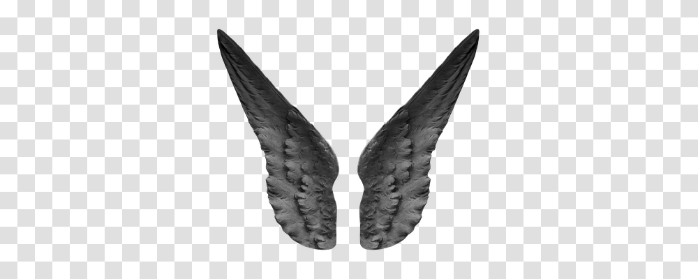 Wing Emotion, Arrowhead, X-Ray, Medical Imaging X-Ray Film Transparent Png