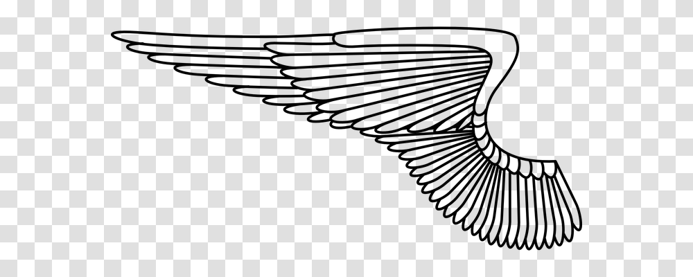 Wing Animals, Gray, World Of Warcraft Transparent Png