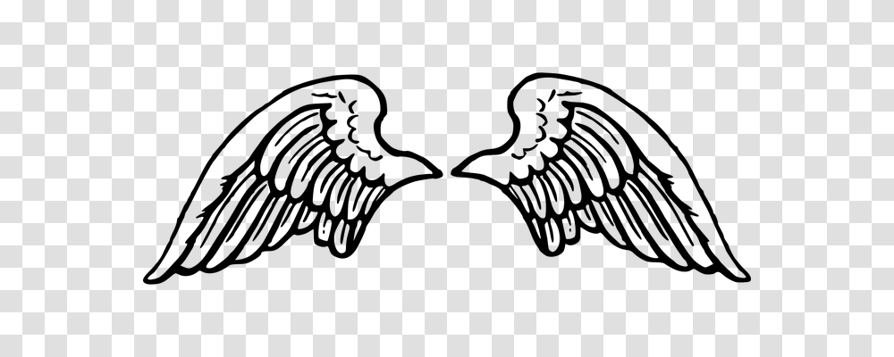 Wing Gray, World Of Warcraft Transparent Png