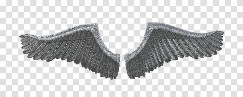 Wing Technology, Brush, Tool Transparent Png