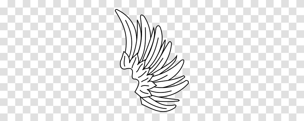 Wing Eagle, Bird, Animal Transparent Png