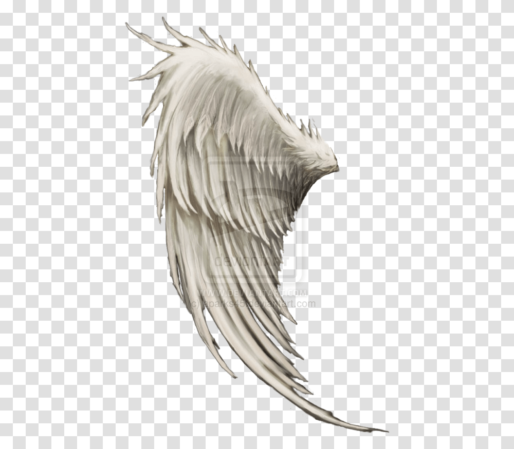 Wing Angel Clip Art Male Angel Wings Hd, Bird, Animal, Archangel, Horse Transparent Png