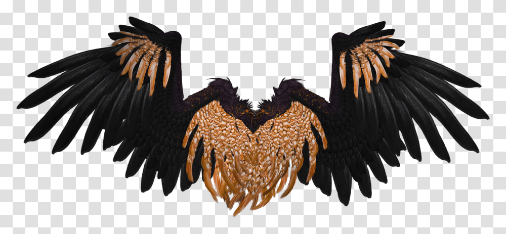 Wing Angel Flying Gold Black Isolated 3d Render Black And Gold Angel Wings, Bird, Animal, Waterfowl, Vulture Transparent Png