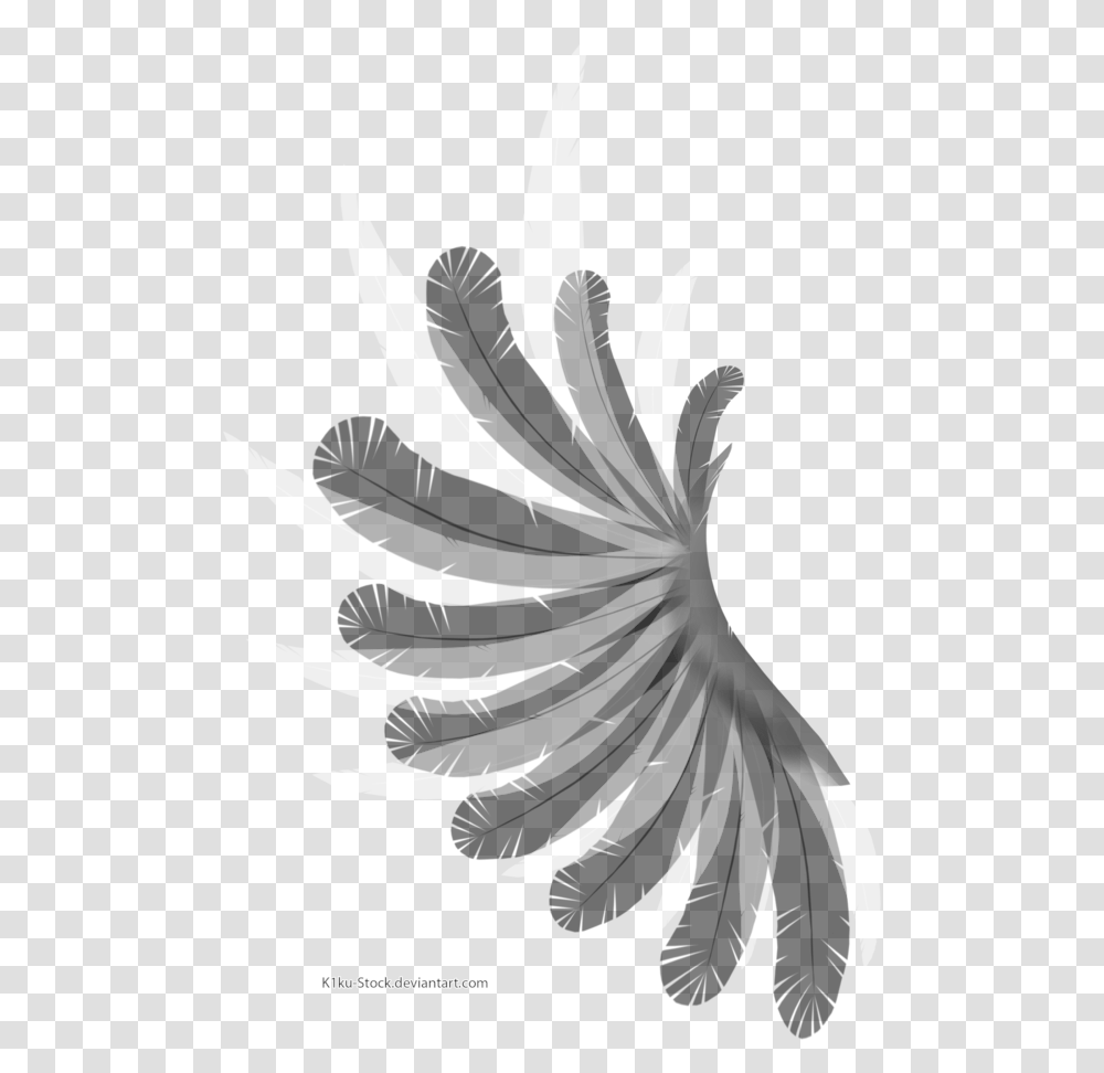 Wing Black And White Feather Bird Wing With Background, Plant, Flower, Blossom, Animal Transparent Png
