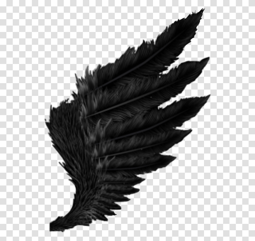 Wing Black Feather Fallen Angel Dark Outfit Cool Amazing Wallpaper, Person, Human, Bird, Animal Transparent Png