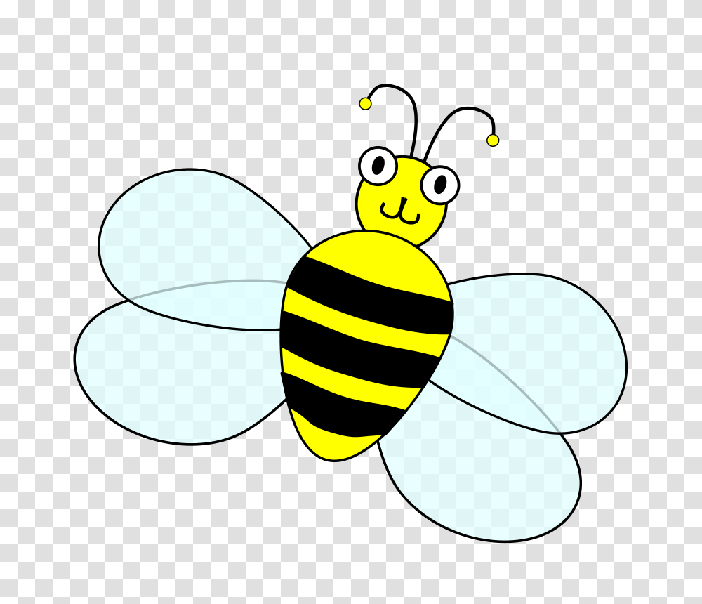 Wing Clip Art, Animal, Invertebrate, Insect, Bee Transparent Png