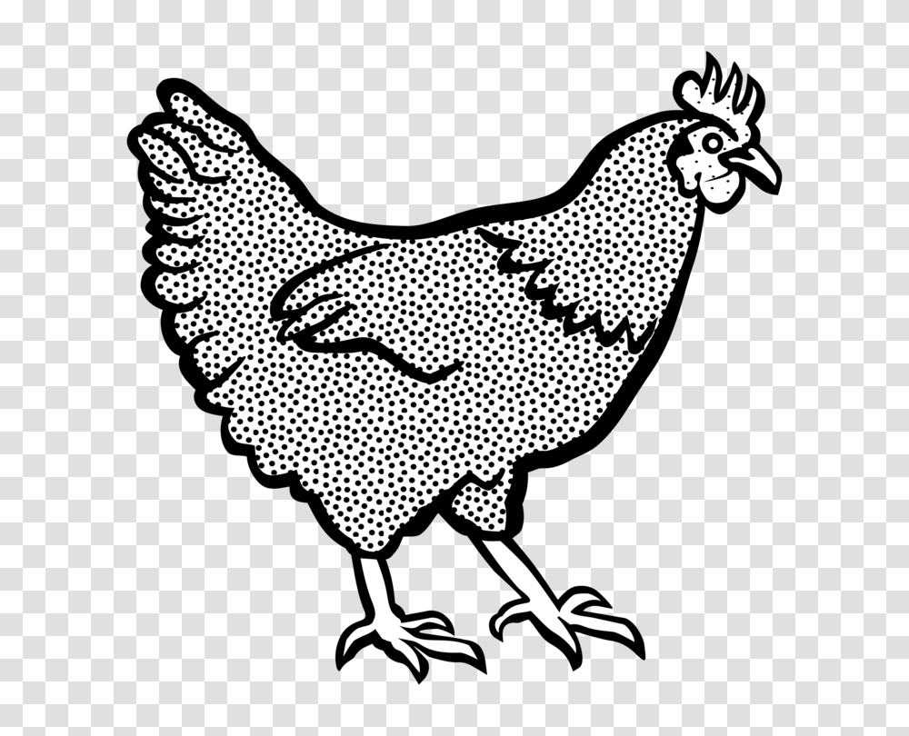 Wing Clipart Fried Chicken Drawing Pictures, Bird, Animal, Poultry, Fowl Transparent Png