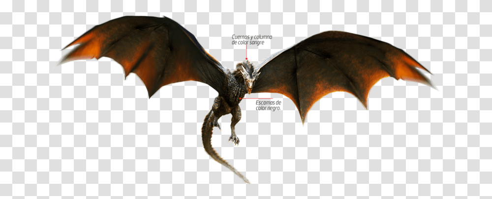 Wing Daenerys Rhaegal Drogon Targaryen Game Of Thrones Dragon, Bird, Animal, Person, Human Transparent Png