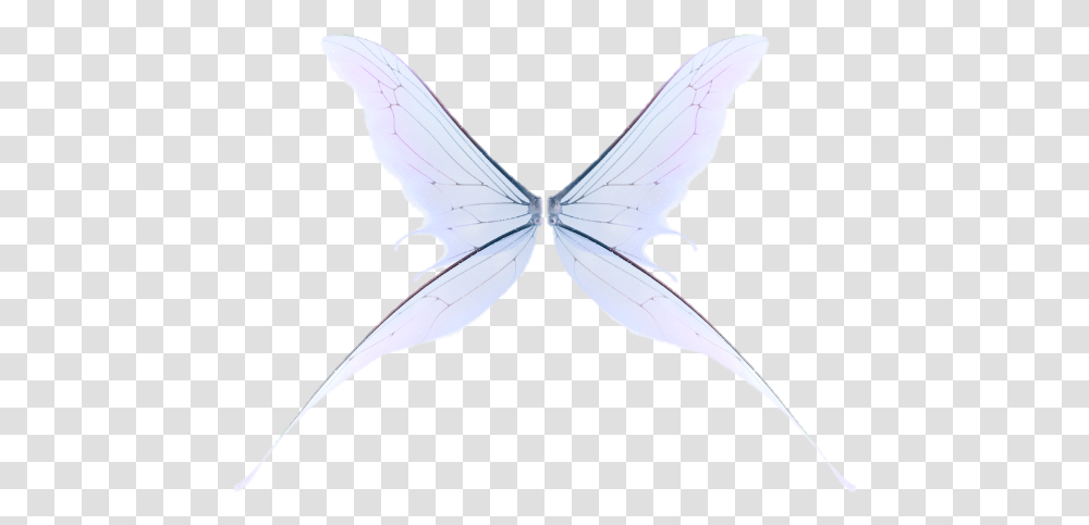 Wing Fairy Fairywing Sky Fly Wings Wingsofanangel Butterfly, Bird, Animal, Insect, Invertebrate Transparent Png