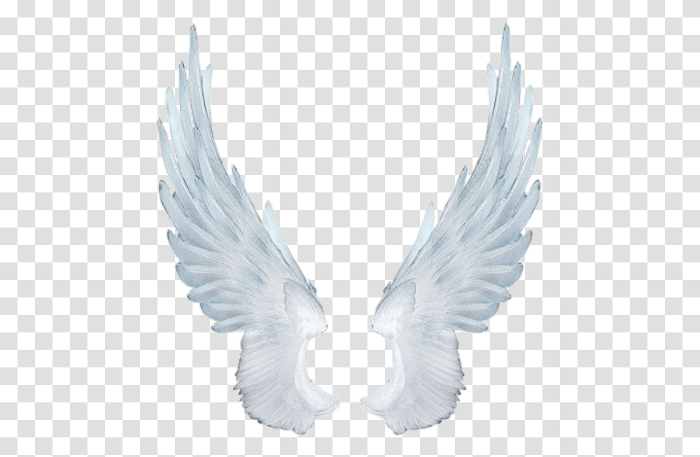 Wing Fairy Fairywing Sky Fly Wings Wingsofanangel White Angel Wings, Animal, Bird, Pigeon, Dove Transparent Png