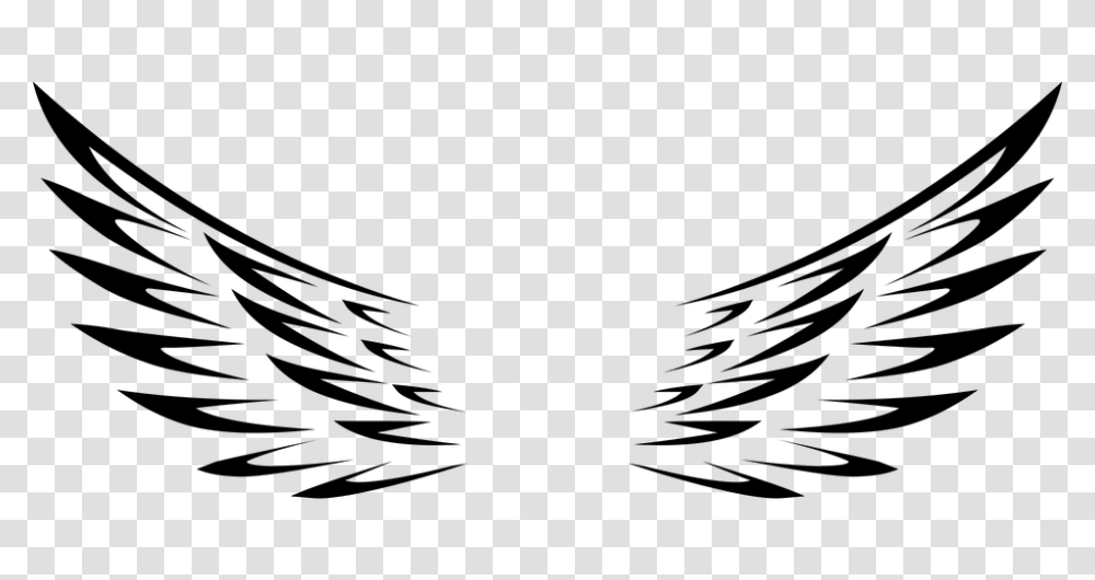 Wing Feather Clipart Explore Pictures, Gray, World Of Warcraft Transparent Png