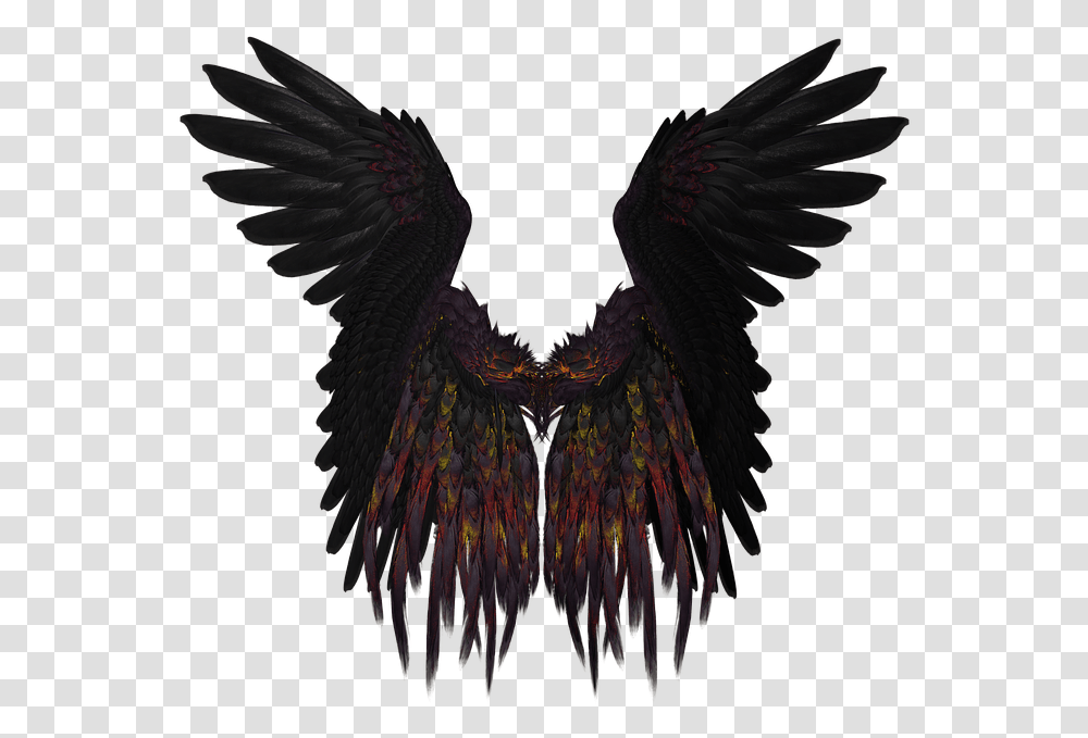 Wing Feather Flying Black Isolated Gold Render Black Angel Wings, Bird, Animal, Pattern, Fractal Transparent Png