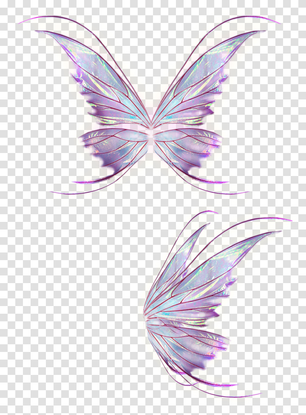 Wing Free Download Hq Transparent Png