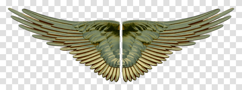 Wing Gilded Gold Free Picture Goose, Ornament, Bird, Animal, Pattern Transparent Png