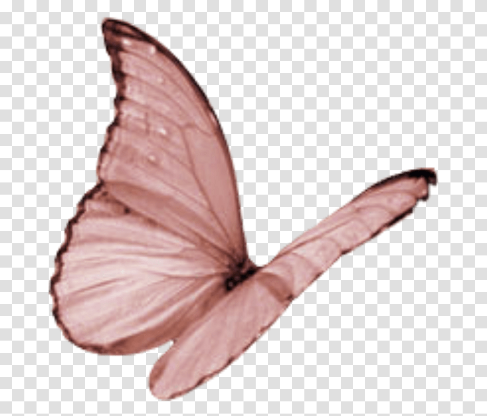 Wing Moth Fly Sky Yellow Glitter Wind Pink Butterfly Flying, Animal, Insect, Invertebrate, Person Transparent Png