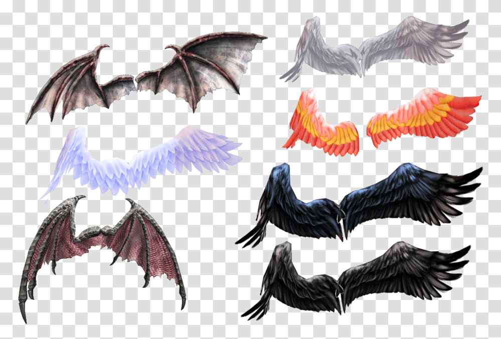 Wing Pack From Ginjishipicture Source And Download Mmd Wings, Animal, Flying, Bird, Wildlife Transparent Png