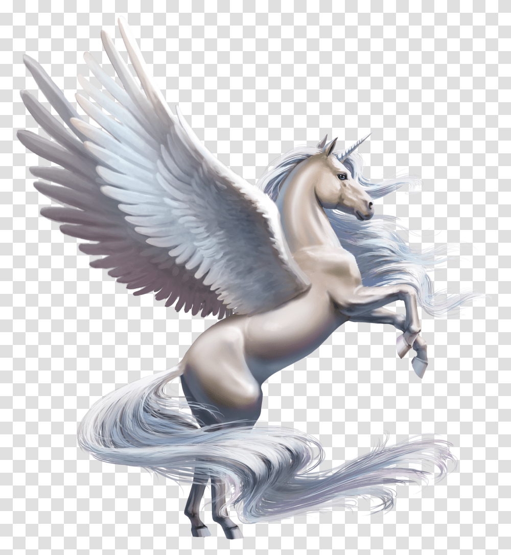 Wing Unicorn, Bird, Animal, Dragon Transparent Png