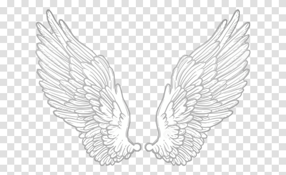 Wing Wings Angel Anglewings White Alone Cute, Bird, Animal, Archangel Transparent Png