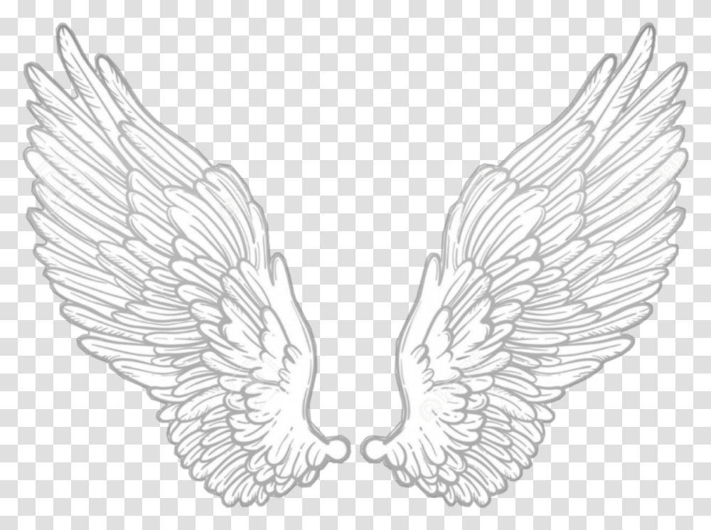 Wing Wings Angel Anglewings White Alone Cute Dripping Effect For Picsart Wings, Bird, Animal, Archangel, Cupid Transparent Png