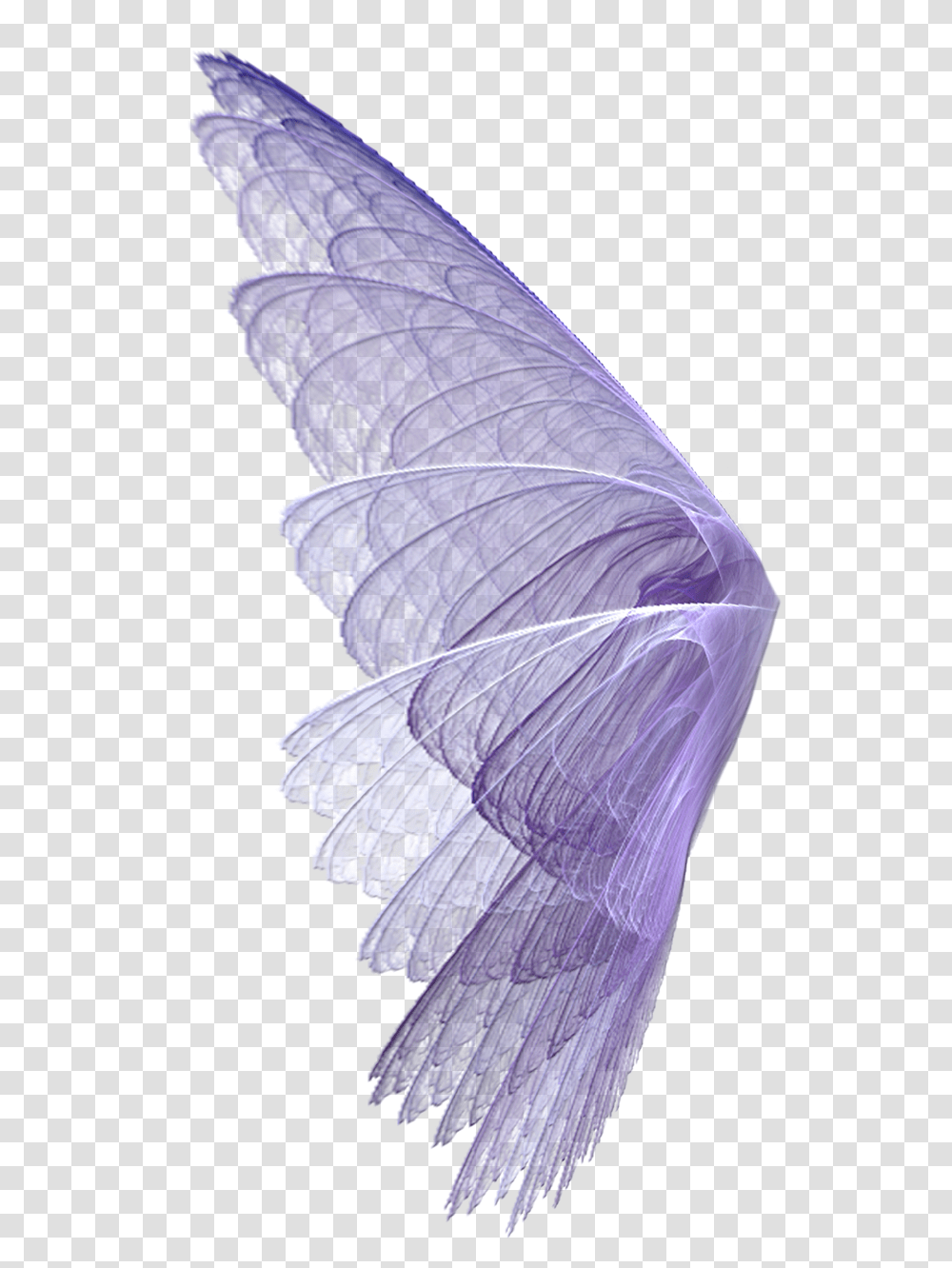 Wing Wingssticker Wings Perpel Bts Exo Ss501 Kard Hyuna, Invertebrate, Animal, Pattern, Bird Transparent Png