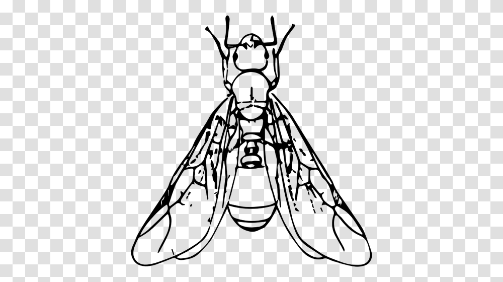 Winged Ant, Gray, World Of Warcraft Transparent Png