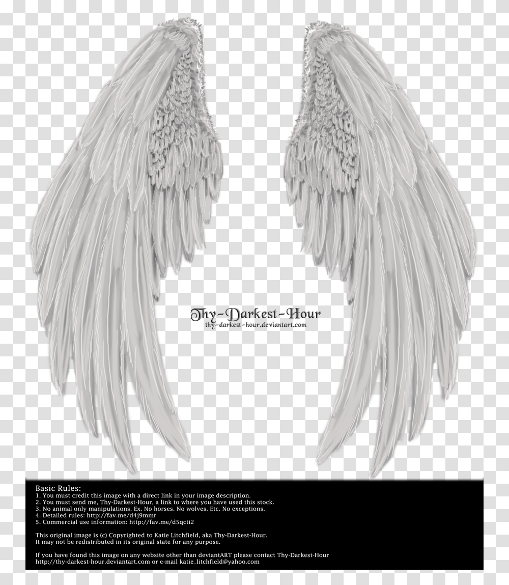 Winged Fantasy V2 Angel With Wings Folded, Bird, Animal, Vase Transparent Png