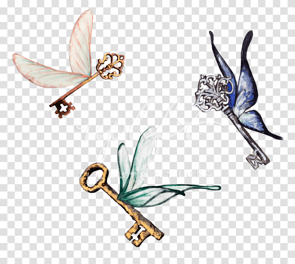 Winged Keys, Animal, Insect, Invertebrate Transparent Png