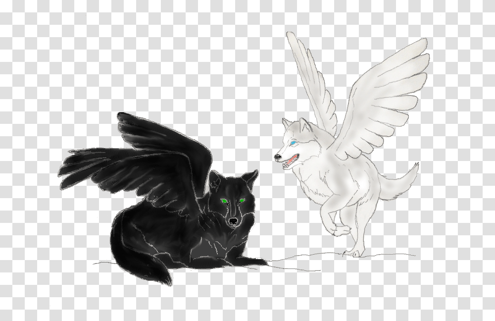 Winged Tribal Wolf Tattoos Black2526white Winged Wolves Black And White, Chicken, Poultry, Fowl, Bird Transparent Png