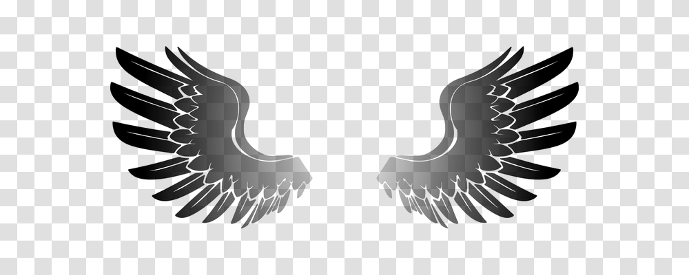 Wings Animals, Gray, World Of Warcraft Transparent Png