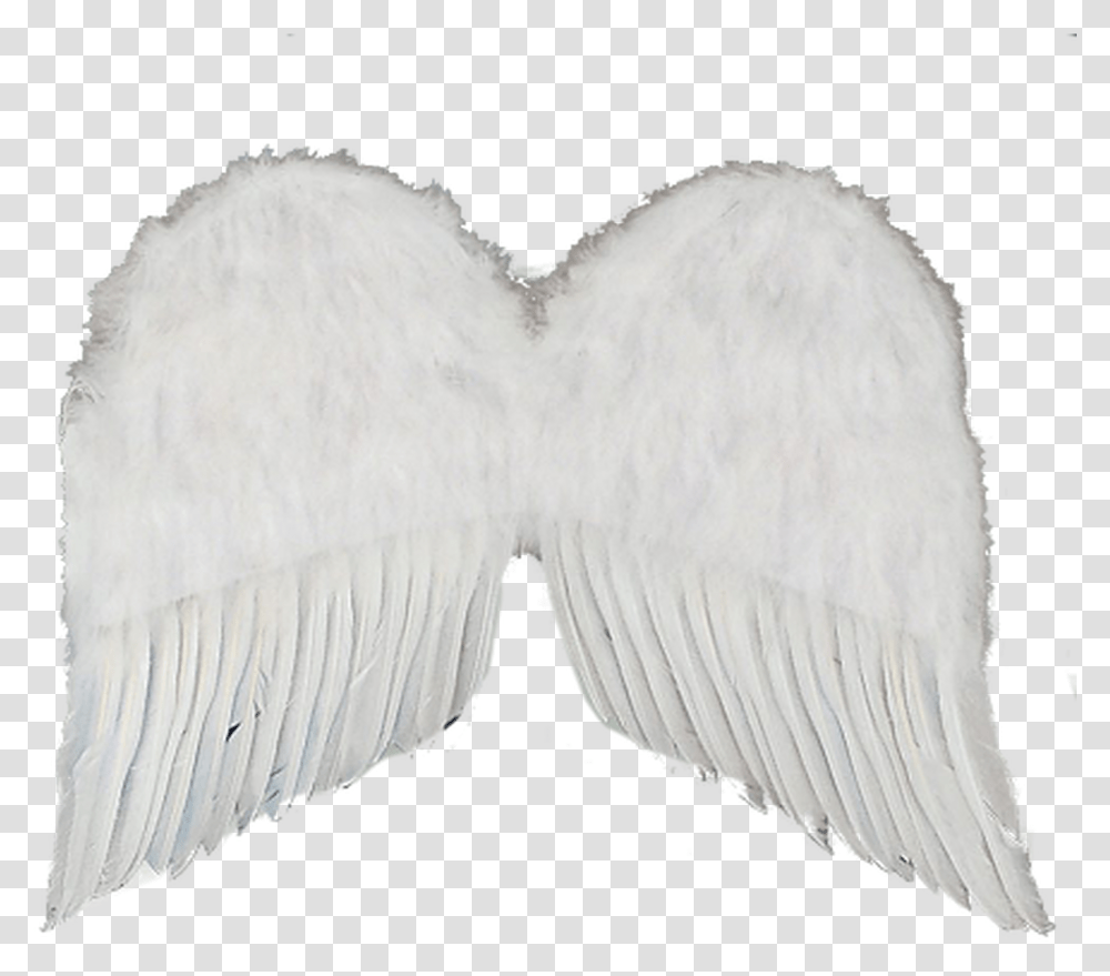Wings 22 White Feather Angel, Bird, Animal, Heart, Fur Transparent Png