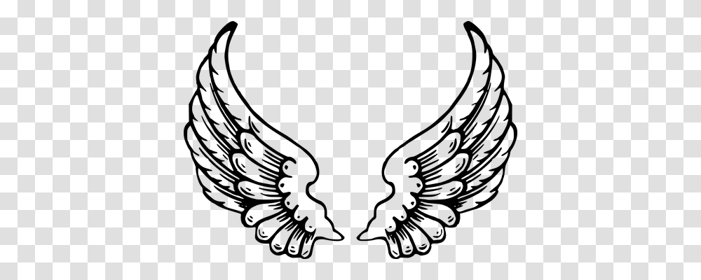 Wings Animals, Gray, World Of Warcraft Transparent Png