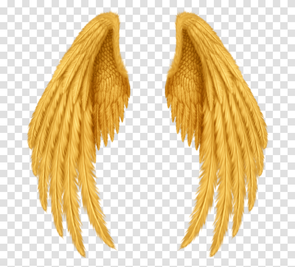 Wings Alas Gold Golden Doradas Oro Gods Dioses Realistic Angel Wings Drawing, Bird, Animal, Apparel Transparent Png