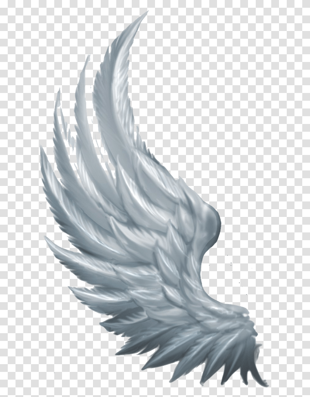 Wings Angel Angel Wings From The Side, Bird, Animal, Archangel Transparent Png