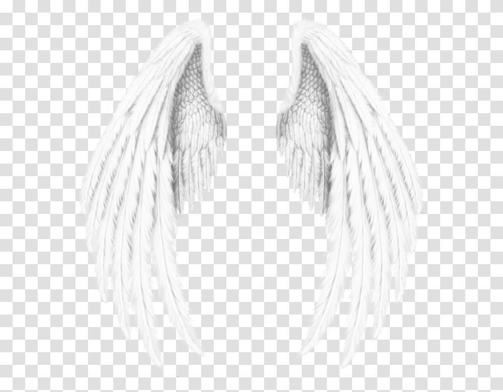 Wings Angel Angels Angelwings Feathers Freetoedit Wings Angel, Bird Transparent Png